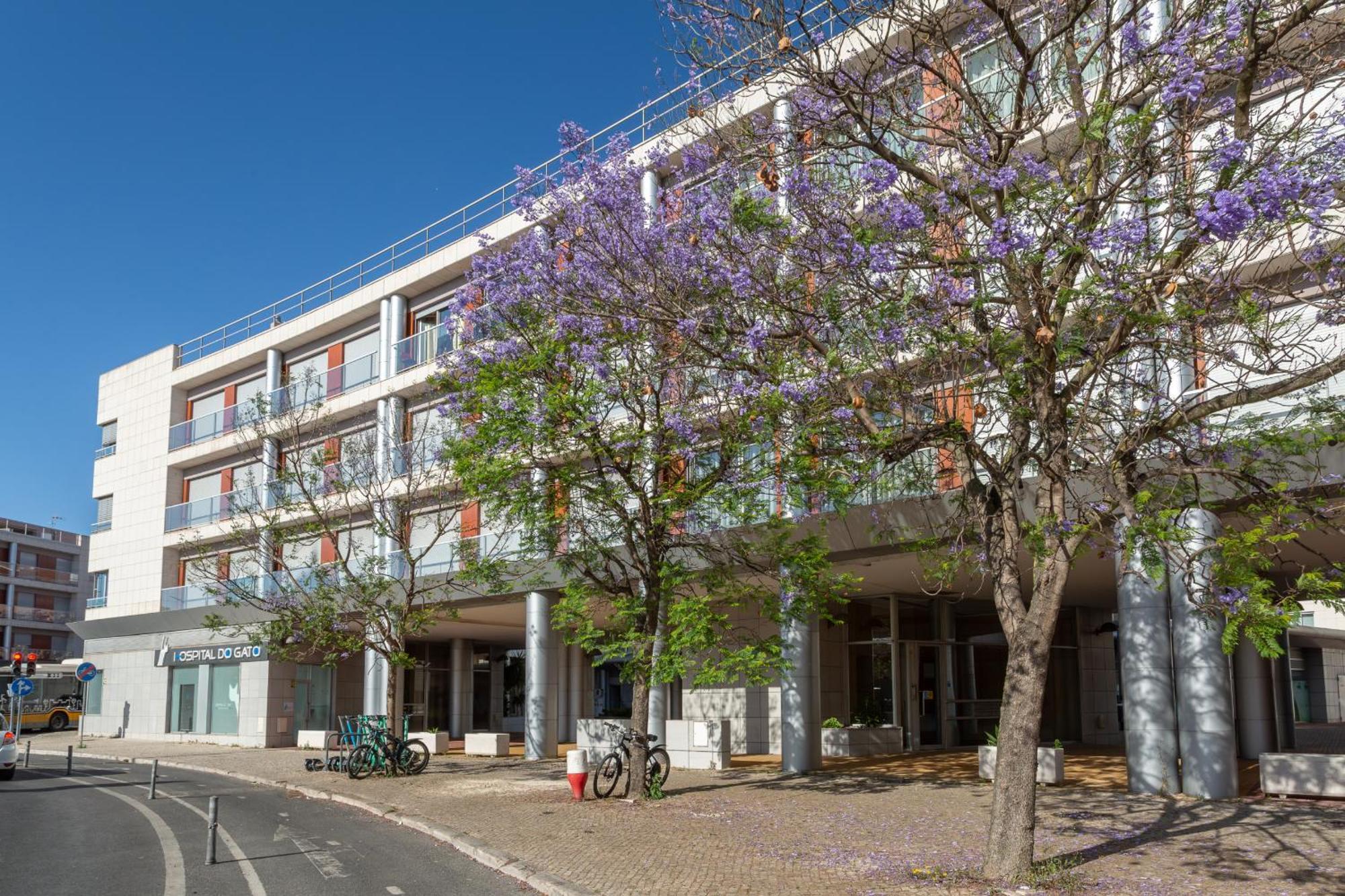Beguest Premium Lisbon Suites Екстериор снимка